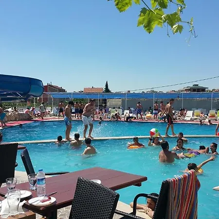 New Penguen